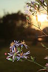 Click to see YIMG_1464.JPG