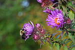 Click to see YIMG_1481.JPG