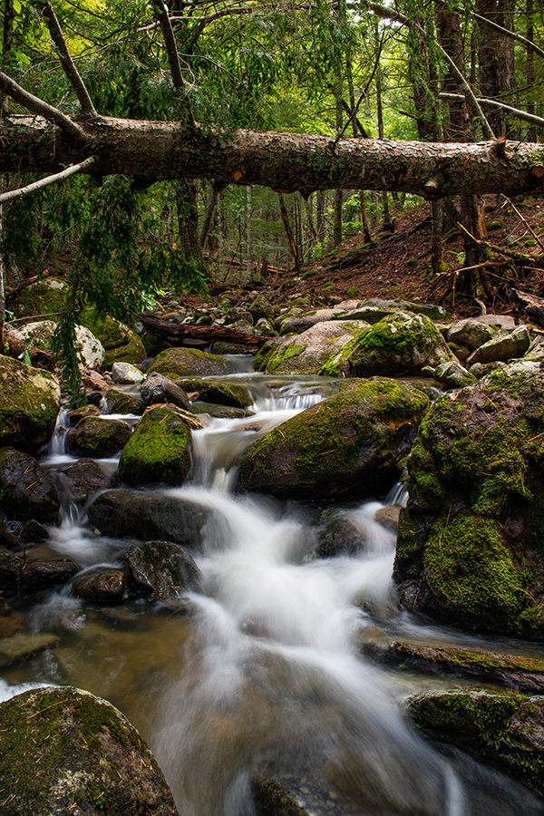 Canon M3 Field Test -- Gallery Image
