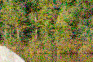 Canon M3 Field Test -- Noise Test Image