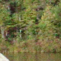Canon M3 Field Test -- Noise Reduction Image