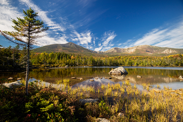 Canon M3 Field Test -- Gallery Image