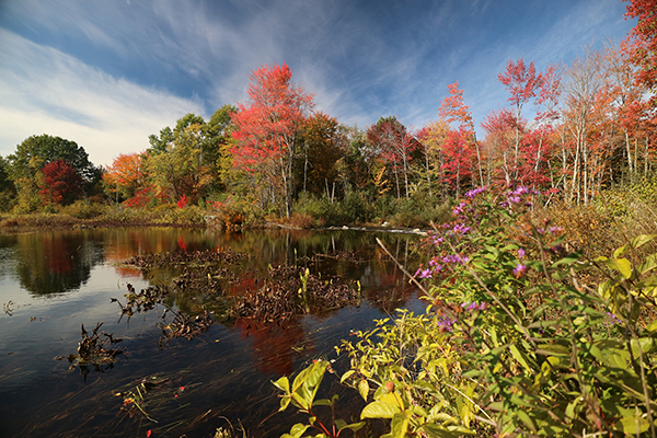 Canon M3 Field Test -- Gallery Image
