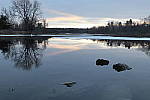 Click to see YIMG_0463.JPG