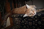 Click to see YIMG_0649-FLASH.JPG