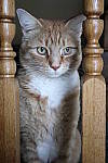 Click to see YIMG_0655.JPG