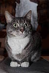 Click to see YIMG_0662-FLASH.JPG