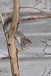Click to see YIMG_0816.JPG