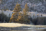 Click to see YIMG_0819-MOD.JPG