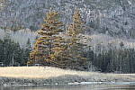 Click to see YIMG_0819.JPG