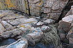 Click to see YIMG_0863.JPG