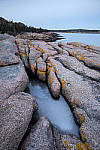 Click to see YIMG_0890-MOD.JPG