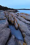 Click to see YIMG_0890.JPG