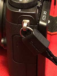 Canon M5 Review: Field Test -- Product Image