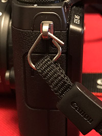 Canon M5 Review: Field Test -- Product Image