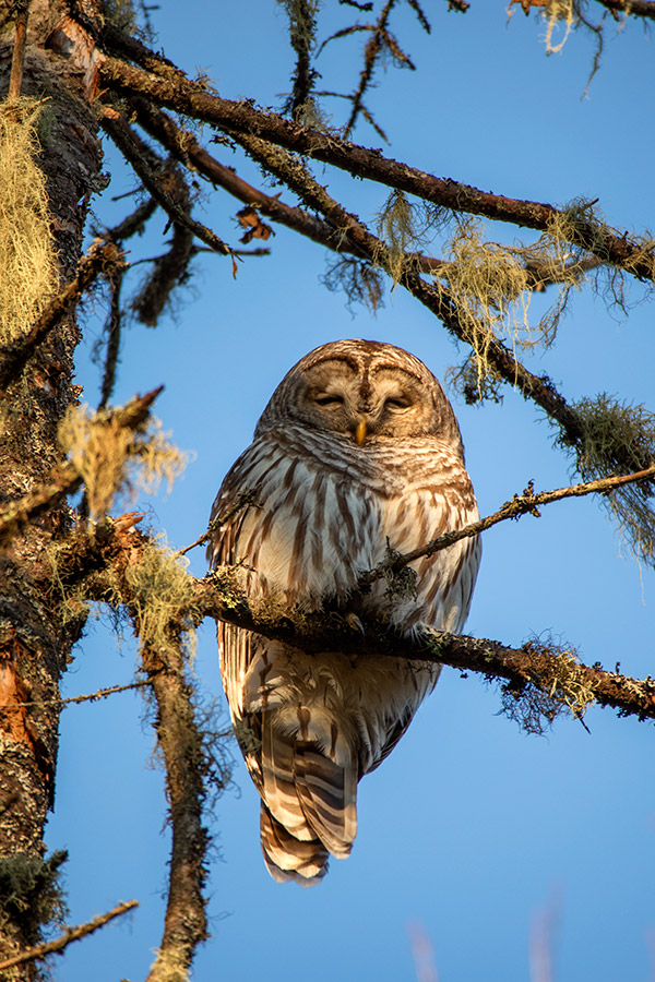 Canon M5 Review: Field Test -- Gallery Image