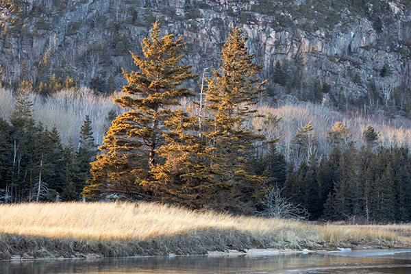 Canon M5 Review: Field Test -- Gallery Image