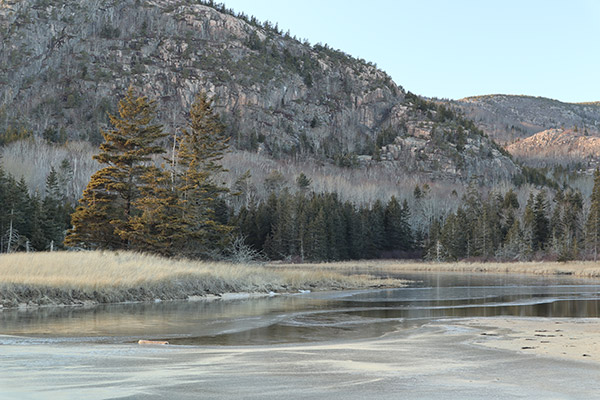 Canon M5 Review: Field Test -- Gallery Image