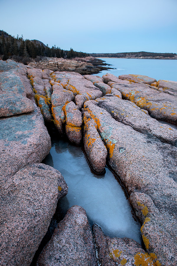 Canon M5 Review: Field Test -- Gallery Image