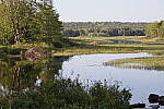 Click to see Y-MG-0488.JPG