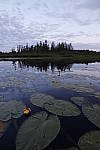 Click to see Y-MG-0515.JPG