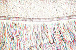Click to see Y-MG-0735-C-RAW-PLUS-3EV.JPG