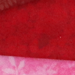 100% crop from Canon EOS M50 test image taken at ISO 1600