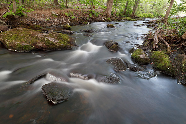 Canon EOS M50 Review: Field Test -- Gallery Image