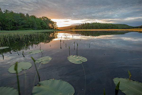 Canon EOS M50 Review: Field Test -- Gallery Image