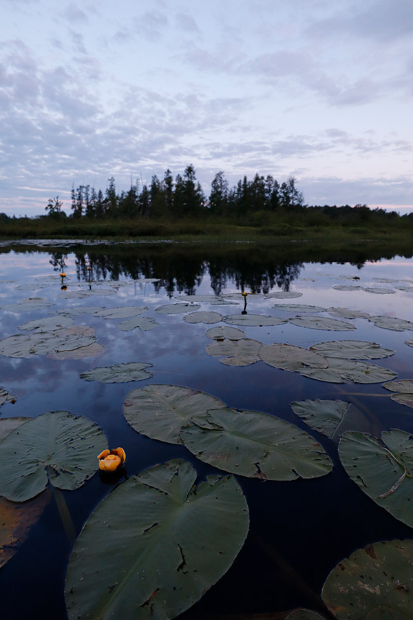 Canon EOS M50 Review: Field Test -- Gallery Image