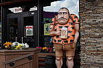 Click to see YIMG_1789.JPG