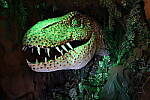Click to see YIMG_1811.JPG