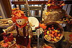 Click to see YIMG_1841.JPG