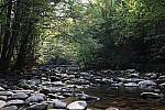 Click to see YIMG_1866.JPG