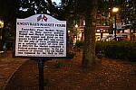 Click to see YIMG_2231.JPG
