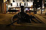 Click to see YIMG_2364.JPG