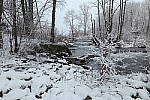 Click to see YIMG_0335.JPG
