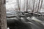 Click to see YIMG_0342.JPG