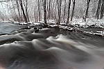 Click to see YIMG_0343.JPG