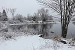 Click to see YIMG_0377.JPG