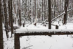 Click to see YIMG_0396-MOD.JPG
