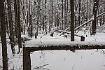 Click to see YIMG_0396.JPG