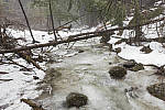 Click to see YIMG_0414-MOD.JPG