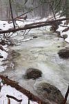 Click to see YIMG_0416.JPG