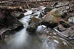 Click to see YIMG_0479.JPG
