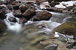 Click to see YIMG_0489.JPG