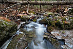 Click to see YIMG_0516-MOD.JPG