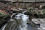 Click to see YIMG_0516.JPG