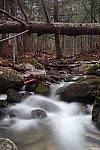 Click to see YIMG_0521.JPG