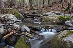 Click to see YIMG_0537-MOD.JPG